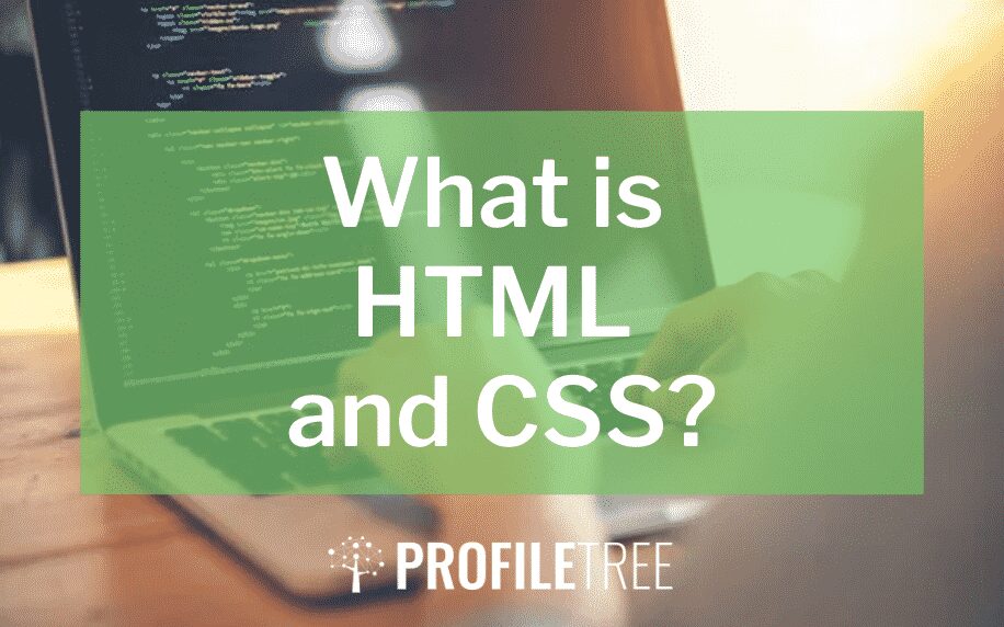 What is HTML and CSS? The Comprehensive Guide