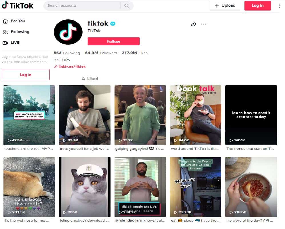 Tiktok Layout - Social Media Marketing App for Small Businesses